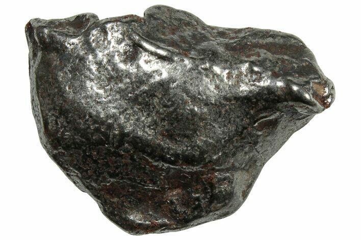 Gebel Kamil Iron Meteorite ( g) - Egypt #302653